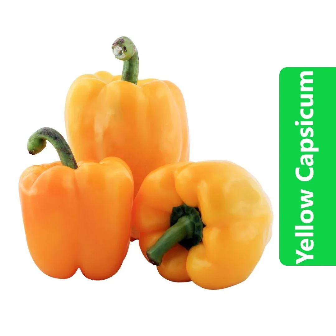Yellow Capsicum Yellow Bell Pepper.webp.pagespeed.ce_.3C5BzJTswG